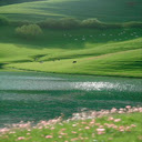 Peaceful countryside scene Wallpaper  screen for extension Chrome web store in OffiDocs Chromium