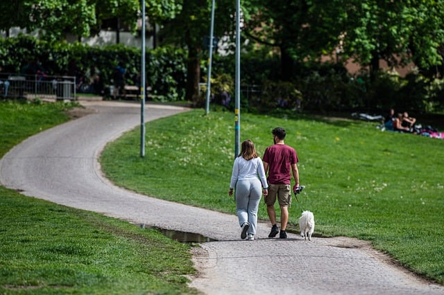 Free download peaceful couple leisure walk dog free picture to be edited with GIMP free online image editor
