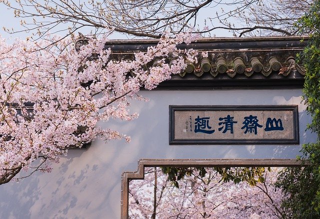 Free picture Peach Blossom Architecture -  to be edited by GIMP free image editor by OffiDocs