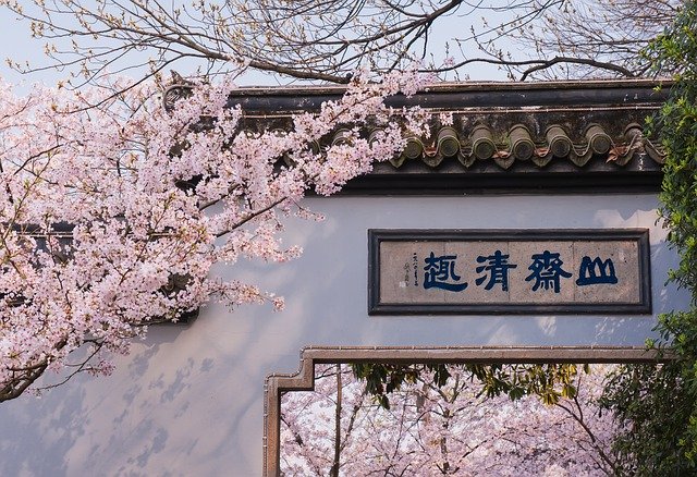 Free download Peach Blossom Architecture -  free photo or picture to be edited with GIMP online image editor