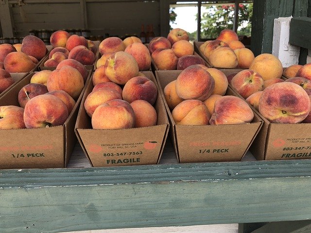 הורדה חינם Peaches Market Fruit - תמונה או תמונה בחינם לעריכה עם עורך התמונות המקוון GIMP