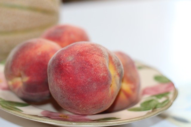 Template Photo Peach Fruit Organic for OffiDocs