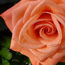 Peach Perfection  screen for extension Chrome web store in OffiDocs Chromium