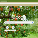 Peach Tree  screen for extension Chrome web store in OffiDocs Chromium