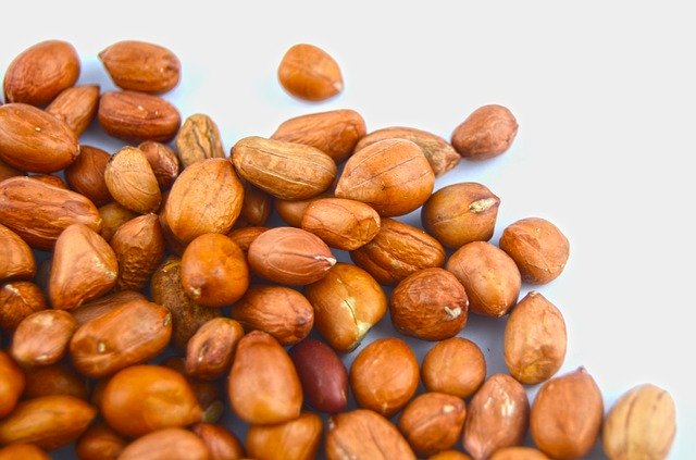 Free download Peanut Seed Grain -  free photo or picture to be edited with GIMP online image editor
