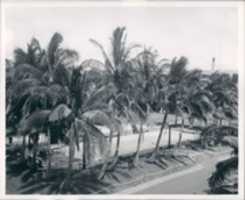 Free download Pearl Harbor free photo or picture to be edited with GIMP online image editor