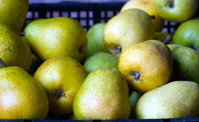 Free download pears fruit fresh healthy food free picture to be edited with GIMP free online image editor