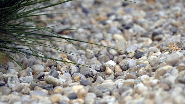 Free download Pebbles Grass Nature -  free photo or picture to be edited with GIMP online image editor