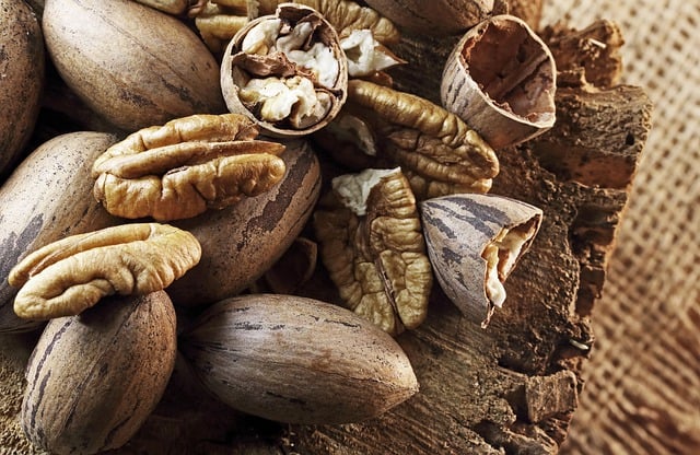Free download pecan nuts nuts ripe shelled raw free picture to be edited with GIMP free online image editor