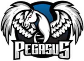 Download gratuito Pegasus Logo 2 1 foto o immagine gratuita da modificare con l'editor di immagini online GIMP