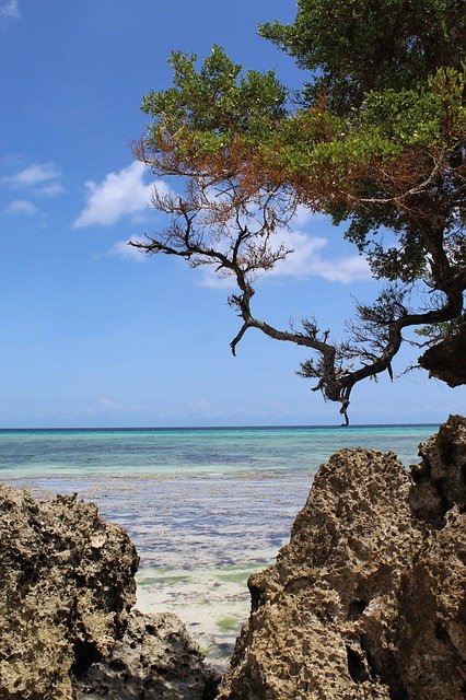 Descarga gratuita Pemba Island Holiday Vacation - foto o imagen gratuita para editar con el editor de imágenes en línea GIMP