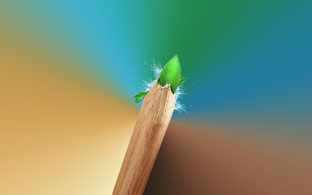 Free download Pencil Leaf Green -  free photo or picture to be edited with GIMP online image editor