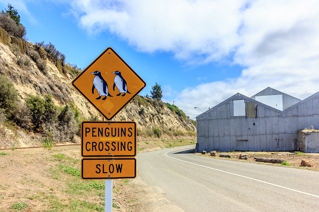 무료 다운로드 Penguins Sign Crossing - 무료 사진 또는 GIMP 온라인 이미지 편집기로 편집할 수 있는 사진