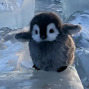 Penguin: The Adorable Ice Explorer  screen for extension Chrome web store in OffiDocs Chromium