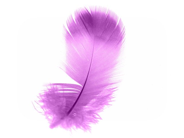Free download Pen Violet Angel -  free photo or picture to be edited with GIMP online image editor