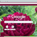 Peony  screen for extension Chrome web store in OffiDocs Chromium