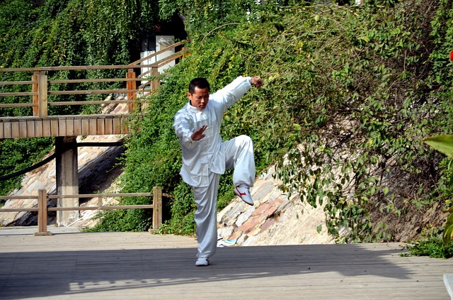 Free download people china kung fu gung fu free picture to be edited with GIMP free online image editor
