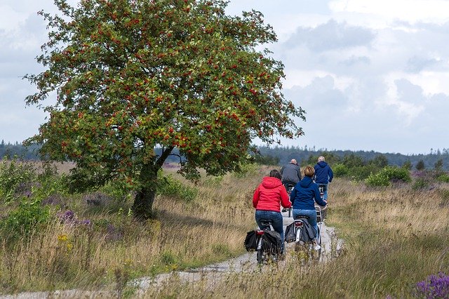 People Cycling Lifestyle'ı ücretsiz indirin - GIMP çevrimiçi resim düzenleyiciyle düzenlenecek ücretsiz fotoğraf veya resim