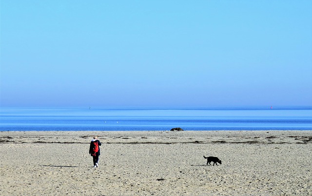 Free download people dog beach sand sandy beach free picture to be edited with GIMP free online image editor