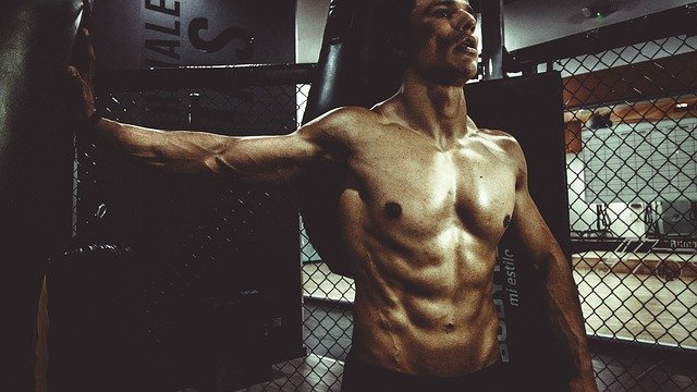Free download people man sexy muscle fitness free picture to be edited with GIMP free online image editor