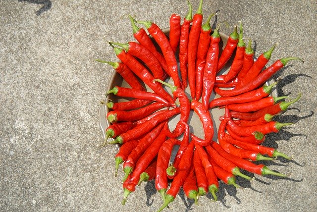 Free download Pepper Dry Solar -  free photo or picture to be edited with GIMP online image editor