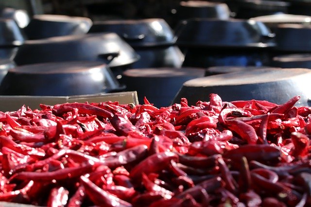 Free download Pepper Red Gun Dry -  free photo or picture to be edited with GIMP online image editor