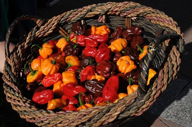 Descărcare gratuită Peppers Chilis Chili - fotografie sau imagini gratuite pentru a fi editate cu editorul de imagini online GIMP