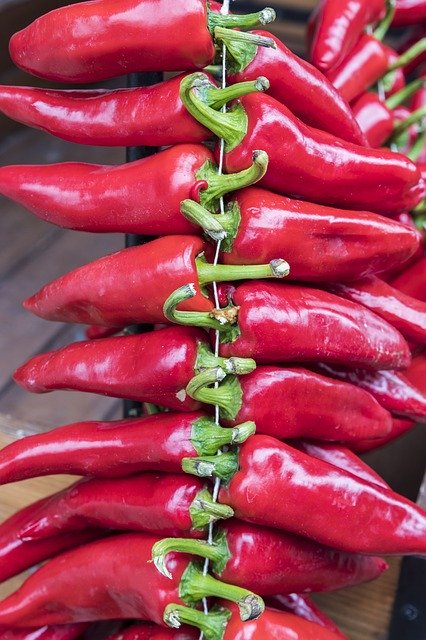 Unduh gratis Peppers Red Pepper Espelete - foto atau gambar gratis untuk diedit dengan editor gambar online GIMP