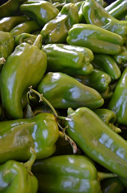 Free download Pepper Vegetables -  free photo or picture to be edited with GIMP online image editor