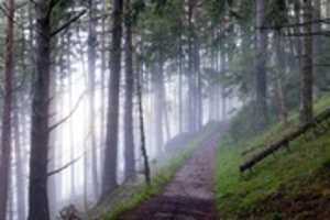 Free download PERBEDAAN ANTARA LARI DARI ALLAH DAN LARI DARI MAKHLUK KARENA TAKUT free photo or picture to be edited with GIMP online image editor