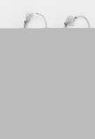 Perfume receptacle GIMP online editor free Free download Perfume receptacle free photo or picture to be edited with GIMP online image editor