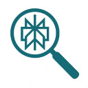 Perplexity Context Menu Search  screen for extension Chrome web store in OffiDocs Chromium