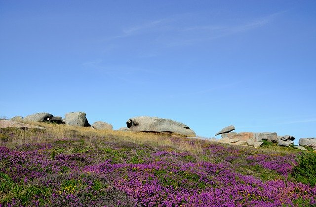 Free picture Perros-Guirec Pink Granite Britain -  to be edited by GIMP free image editor by OffiDocs
