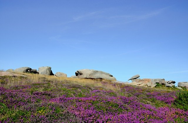 Безкоштовно завантажте Perros-Guirec Pink Granite Britain - безкоштовну фотографію або малюнок для редагування в онлайн-редакторі зображень GIMP