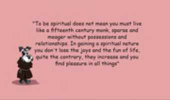 Free download perrospiritual free photo or picture to be edited with GIMP online image editor