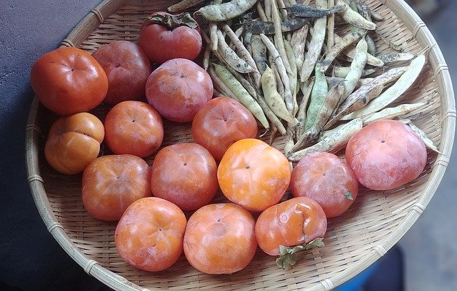 ດາວ​ໂຫຼດ​ຟຣີ Persimmon Bean Autumn - ຮູບ​ພາບ​ຟຣີ​ຫຼື​ຮູບ​ພາບ​ທີ່​ຈະ​ໄດ້​ຮັບ​ການ​ແກ້​ໄຂ​ກັບ GIMP ອອນ​ໄລ​ນ​໌​ບັນ​ນາ​ທິ​ການ​ຮູບ​ພາບ