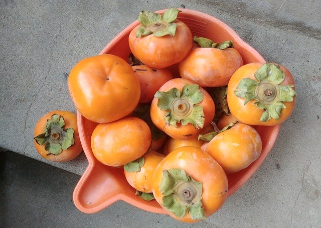 Bezpłatne pobieranie Persimmon Fruit Harvest In - darmowe zdjęcie lub obraz do edycji za pomocą internetowego edytora obrazów GIMP