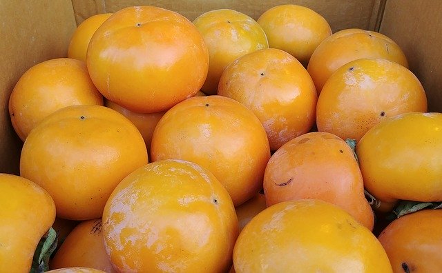 Muat turun percuma Persimmon Fruit Harvest Sejong - foto atau gambar percuma untuk diedit dengan editor imej dalam talian GIMP