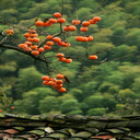 Persimmon wallpaper  screen for extension Chrome web store in OffiDocs Chromium