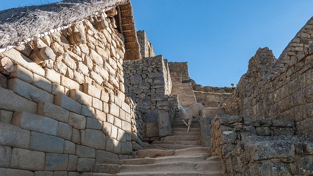 Free download Peru Lama Inca -  free photo or picture to be edited with GIMP online image editor
