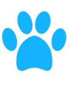 Free download pet-blue free photo or picture to be edited with GIMP online image editor