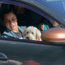 Pet dog  screen for extension Chrome web store in OffiDocs Chromium