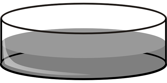 ดาวน์โหลดฟรี Petri Dish Deep Lab - กราฟิกแบบเวกเตอร์ฟรีบน Pixabay