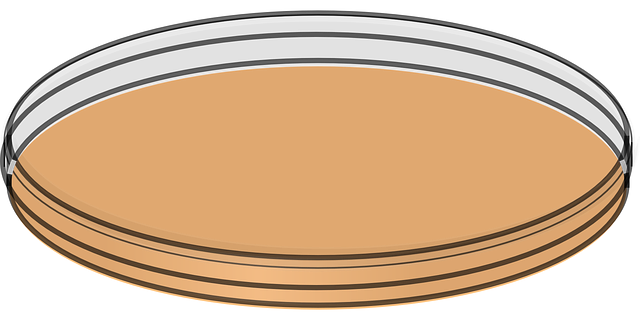 Tải xuống miễn phí Petri Dish Flat Lab - Đồ họa vector miễn phí trên Pixabay