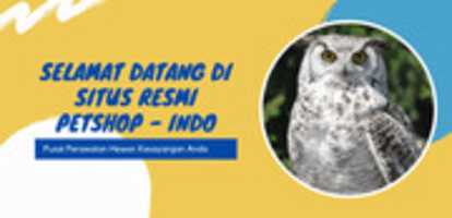 Free download petshop-indo free photo or picture to be edited with GIMP online image editor
