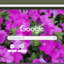 Petunia  screen for extension Chrome web store in OffiDocs Chromium