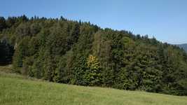 Free download Pewel Ślemieńska Poland -  free video to be edited with OpenShot online video editor