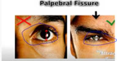 Free download Pfl Vertical Length free photo or picture to be edited with GIMP online image editor