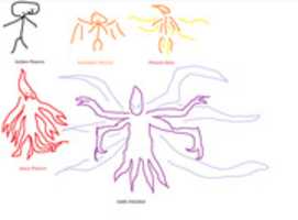 Free download Pheonix free photo or picture to be edited with GIMP online image editor