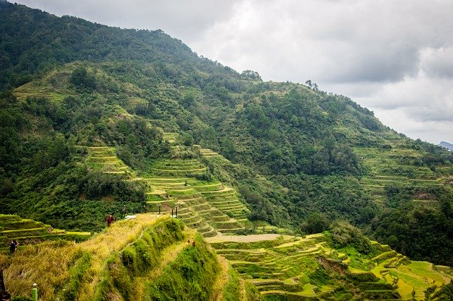 Descarga gratuita Filipinas Rice Terraces - foto o imagen gratuita para editar con el editor de imágenes en línea GIMP